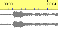 waveform view